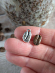 Silver Coffee Bean charm necklace (PRE-ORDER)